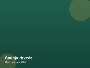 Sadnja drveća — Novi Sad, maj 2025.