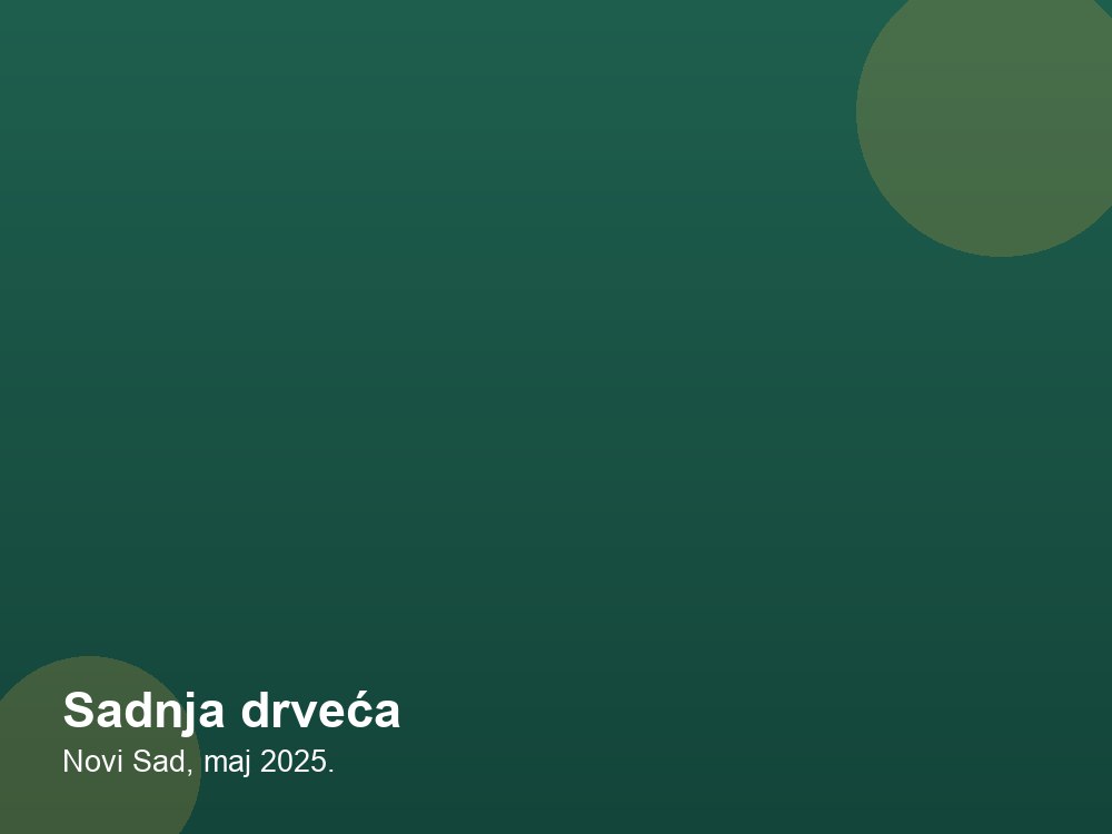 Sadnja drveća — Novi Sad, maj 2025.