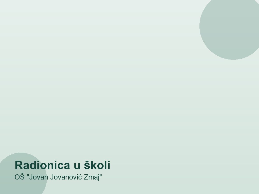 Radionica u školi — OŠ "Jovan Jovanović Zmaj"