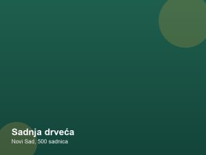 Sadnja drveća — Novi Sad, 500 sadnica